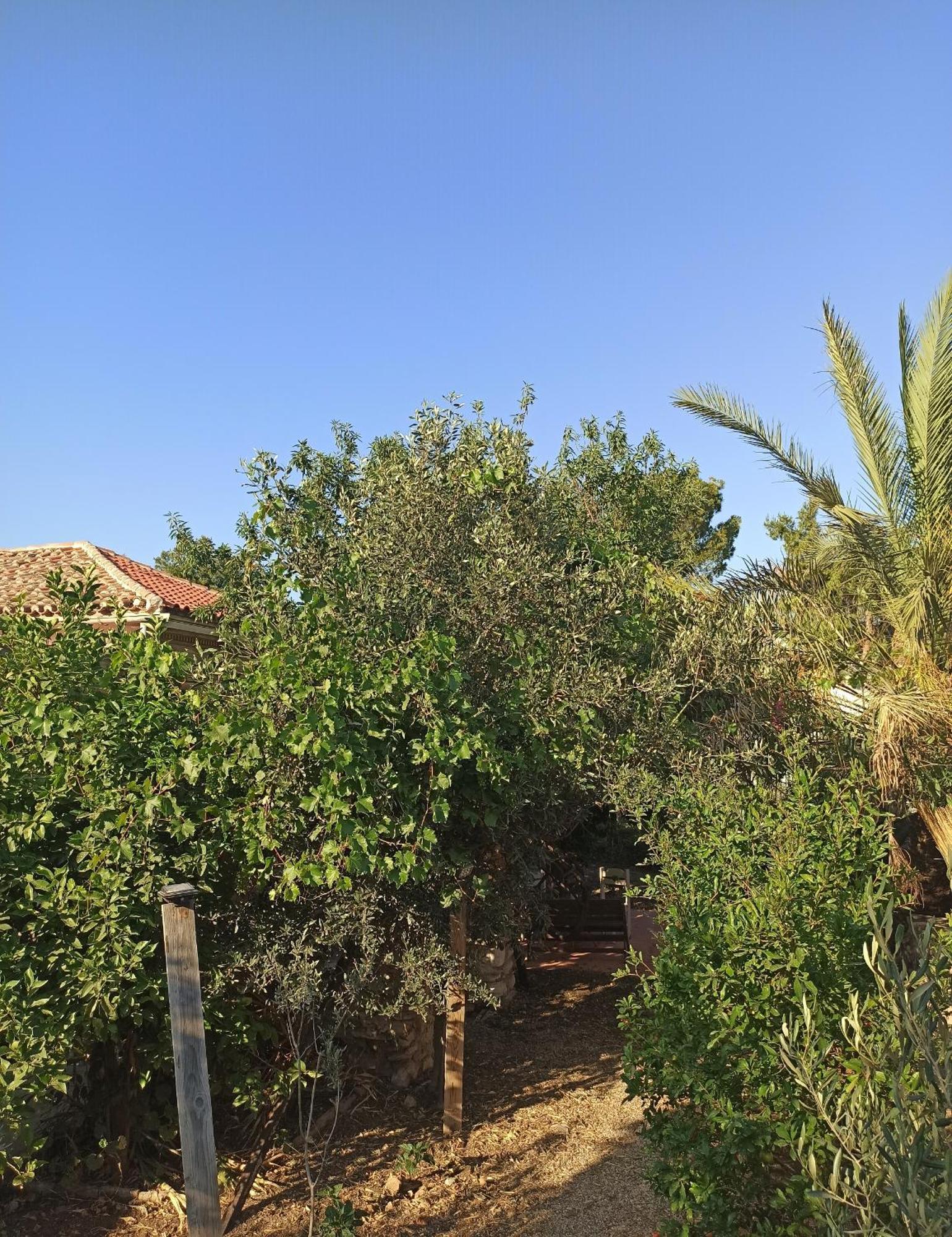 فيلا 1895 Garden House Lávrion المظهر الخارجي الصورة